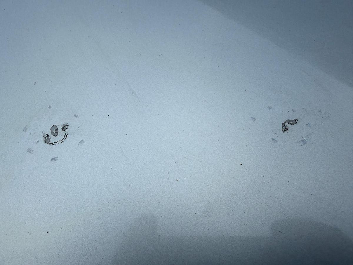 Lada Kalina 2 original Motorhaube silber BJ15